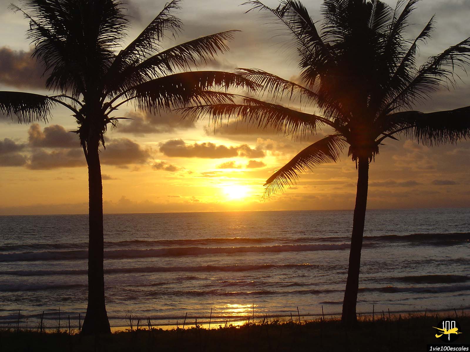 Le coucher de soleil entre deux palmiers sur la plage de Kuta Beach à Bali