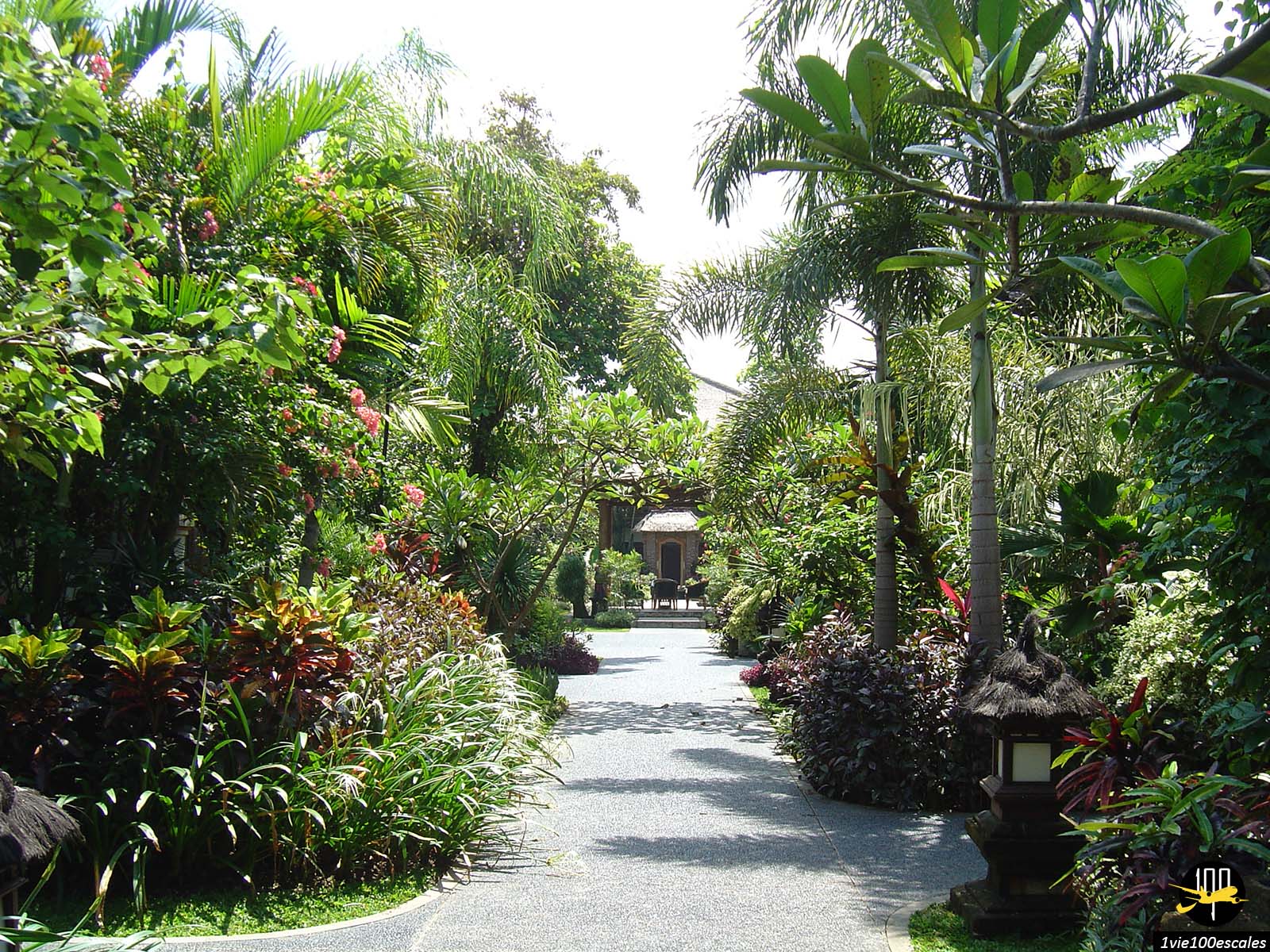 Les jardins tropicaux qui entourent les chambres du Padma Resort Legian de Bali