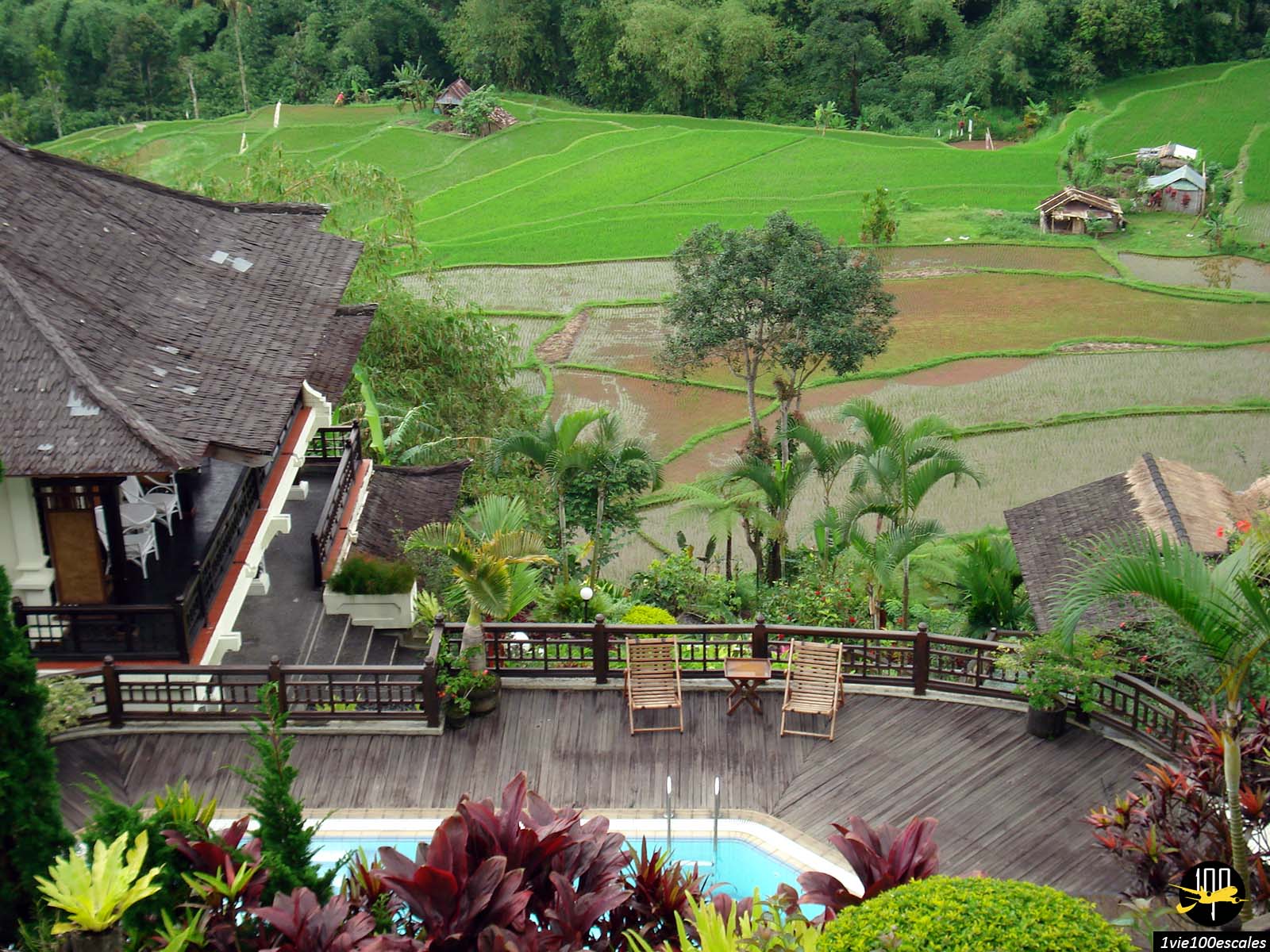 Un hôtel près de Ubud entouré par la nature et de belles rizières en terrasse