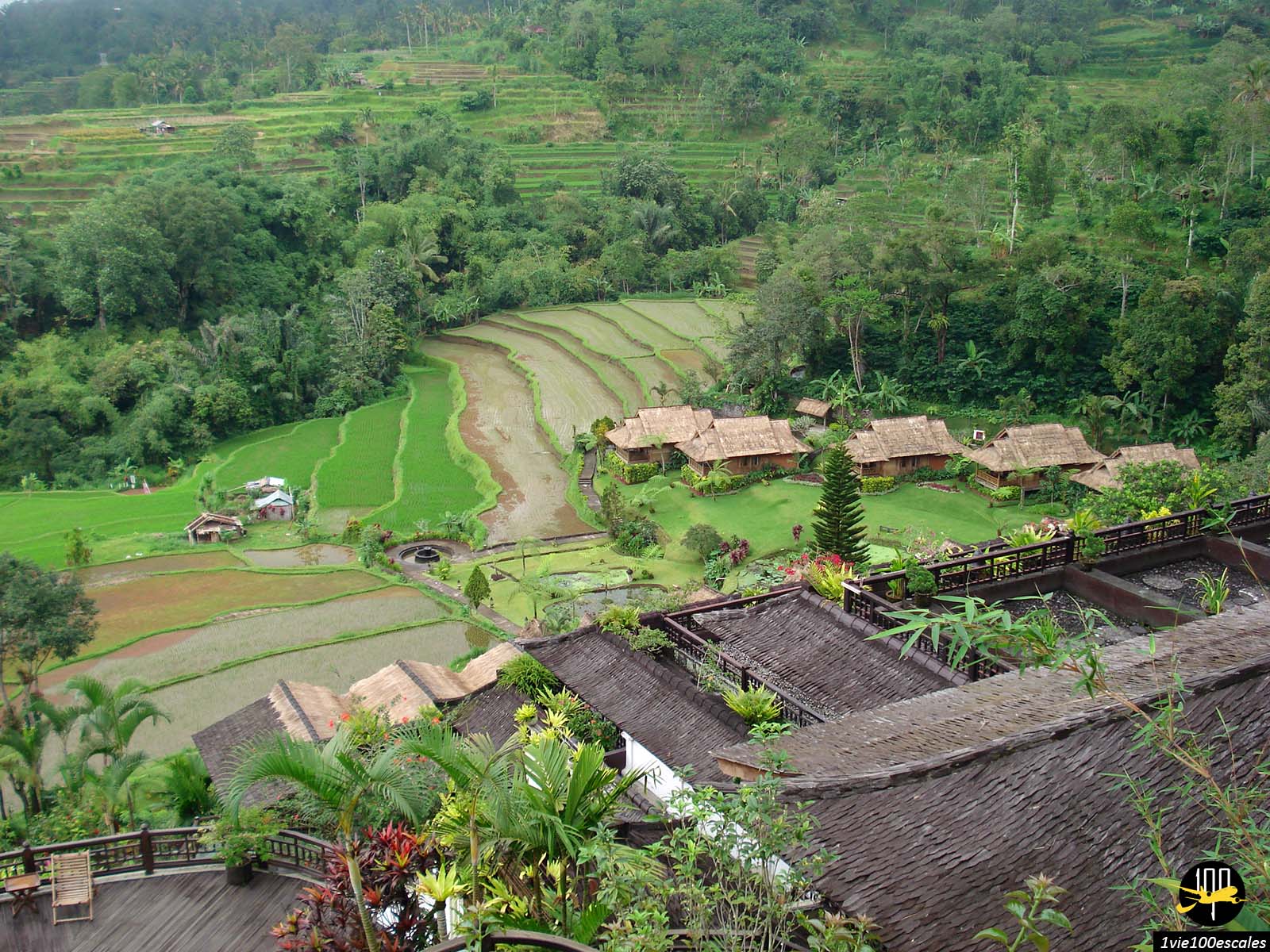 Des rizières en terrasse entourent de nombreux hôtels aux alentours d'Ubud