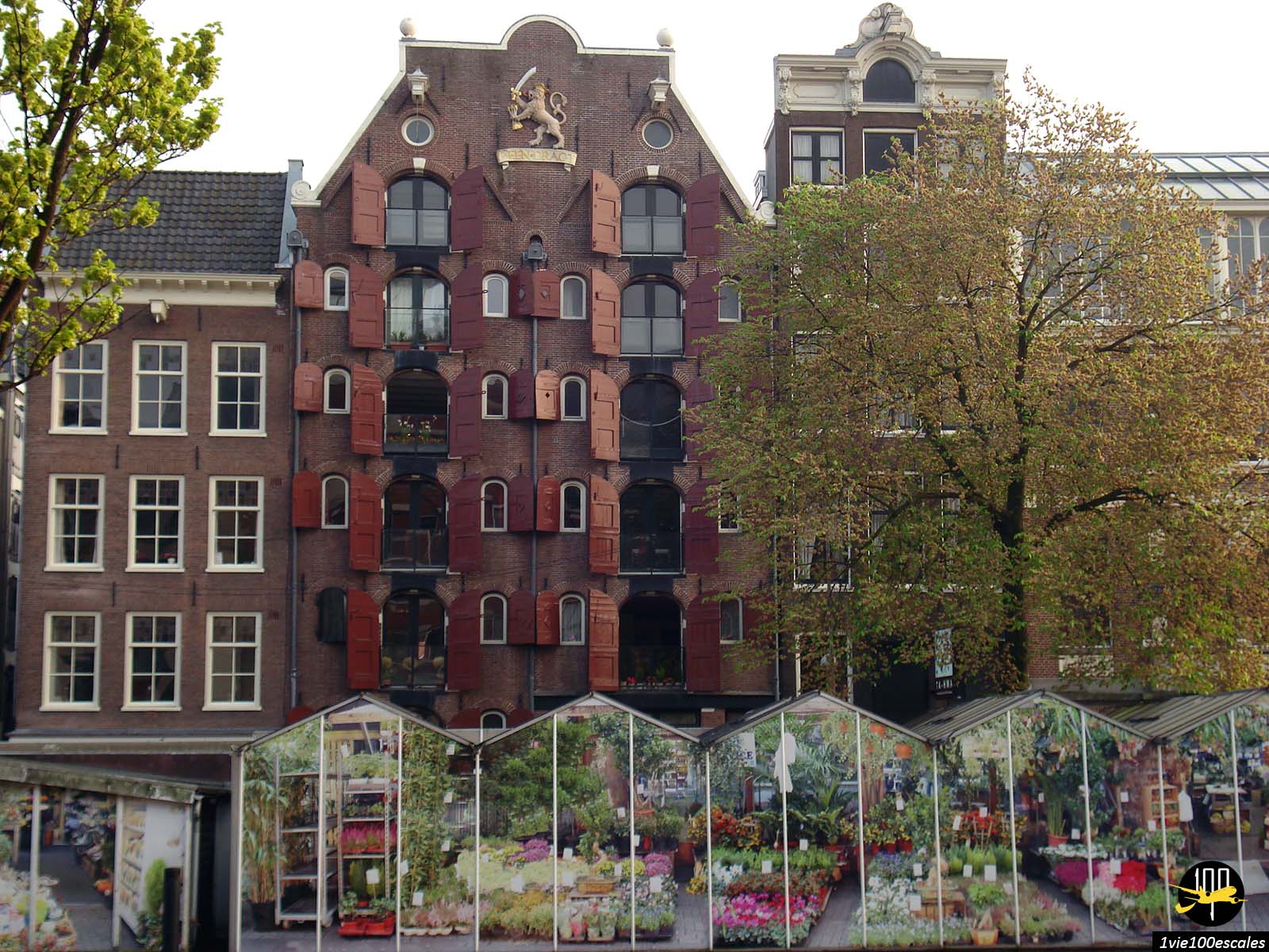 Les barges du marché aux fleurs sur le Singel d'Amsterdam
