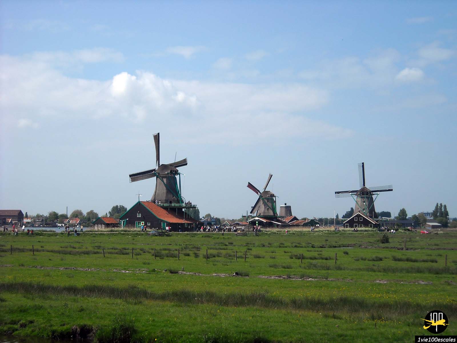 Découvrez les moulins à vent historiques de Zaanse Schans lors d'une visite en bus