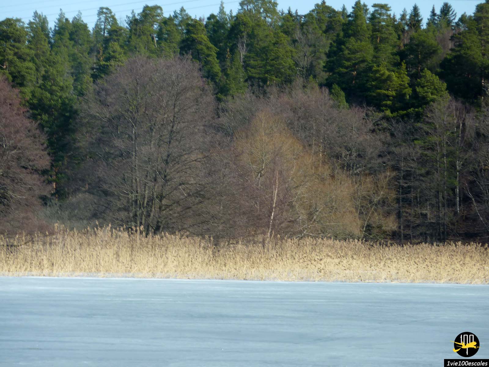 La nature et l'eau gelée du Lac Mälar de Stockholm