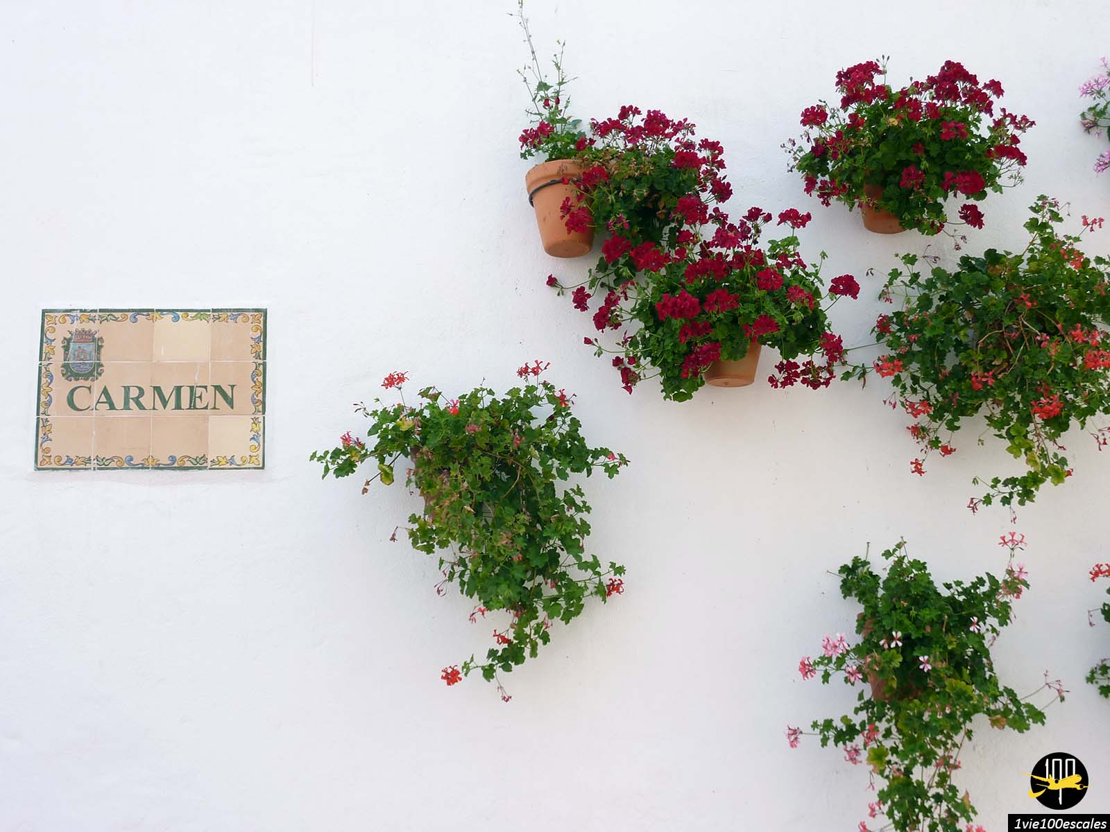 Des pots de fleurs accrochés sur les murs de la Casco Antiguo la vieille ville de Marbella