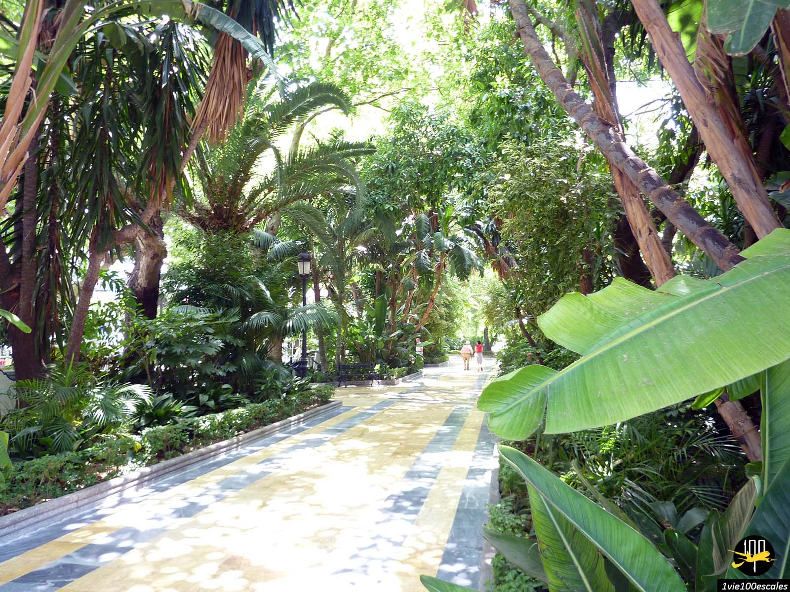 La belle promenade au milieu des arbres du parc de la Alameda de Marbella