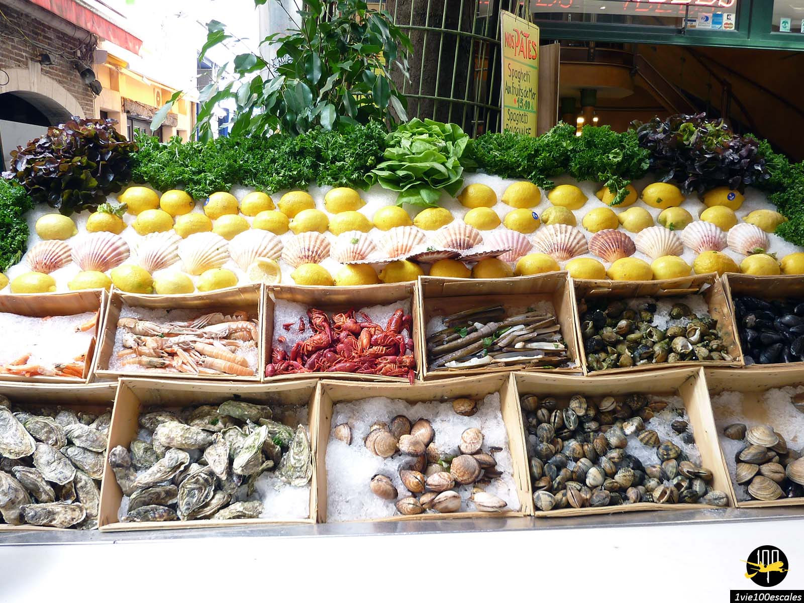 Un présentoir d'un restaurant de fruits de mer dans la rue des Bouchers de Bruxelles