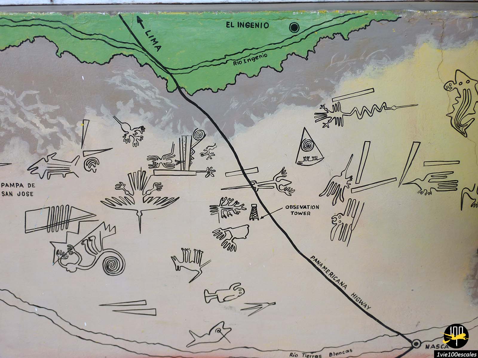 Un plan aérien sur toutes les lignes de Nazca au Pérou