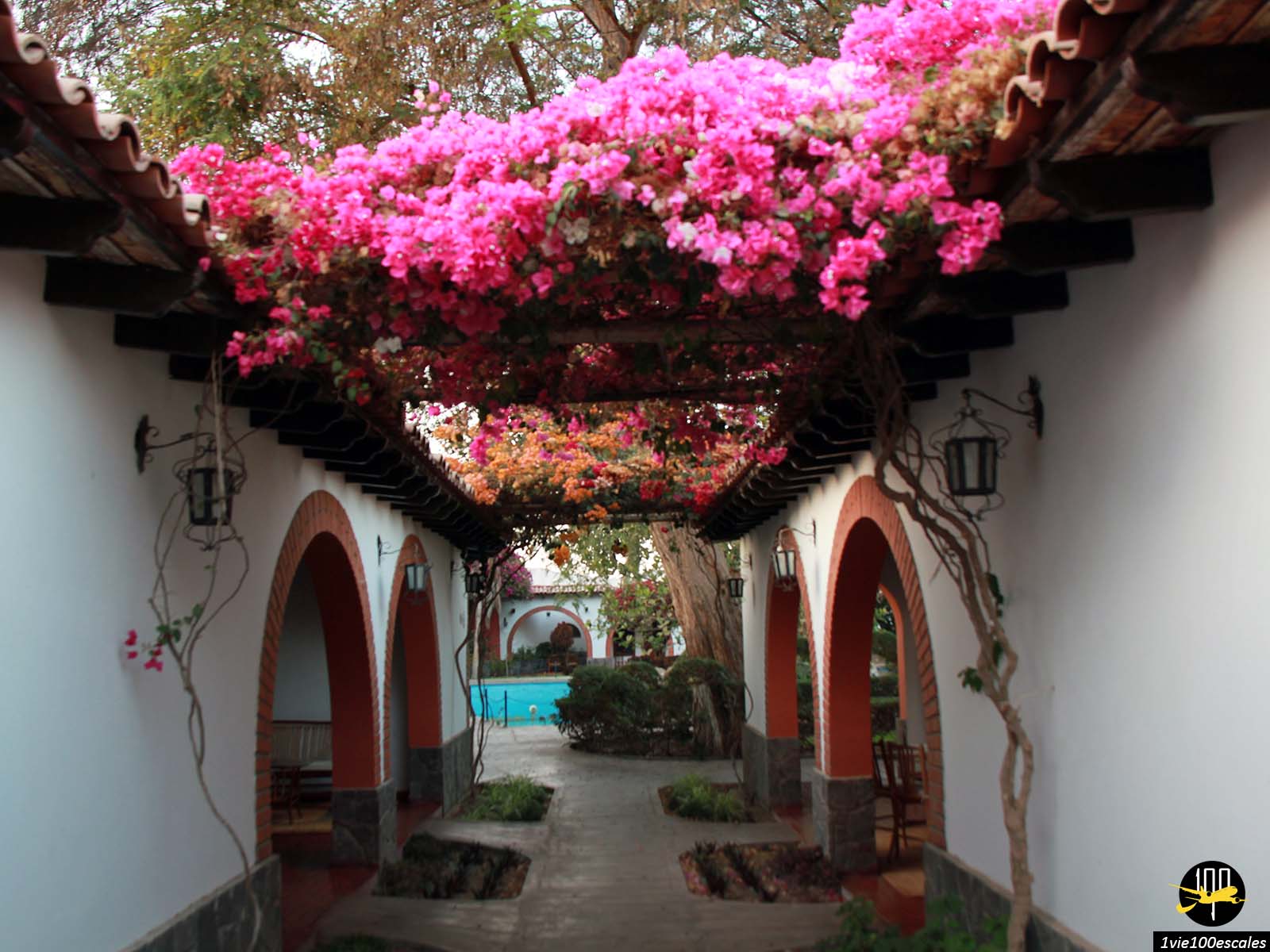 Les jardins fleuris de l'hacienda de l'hotel Majoro à Nazca au Pérou