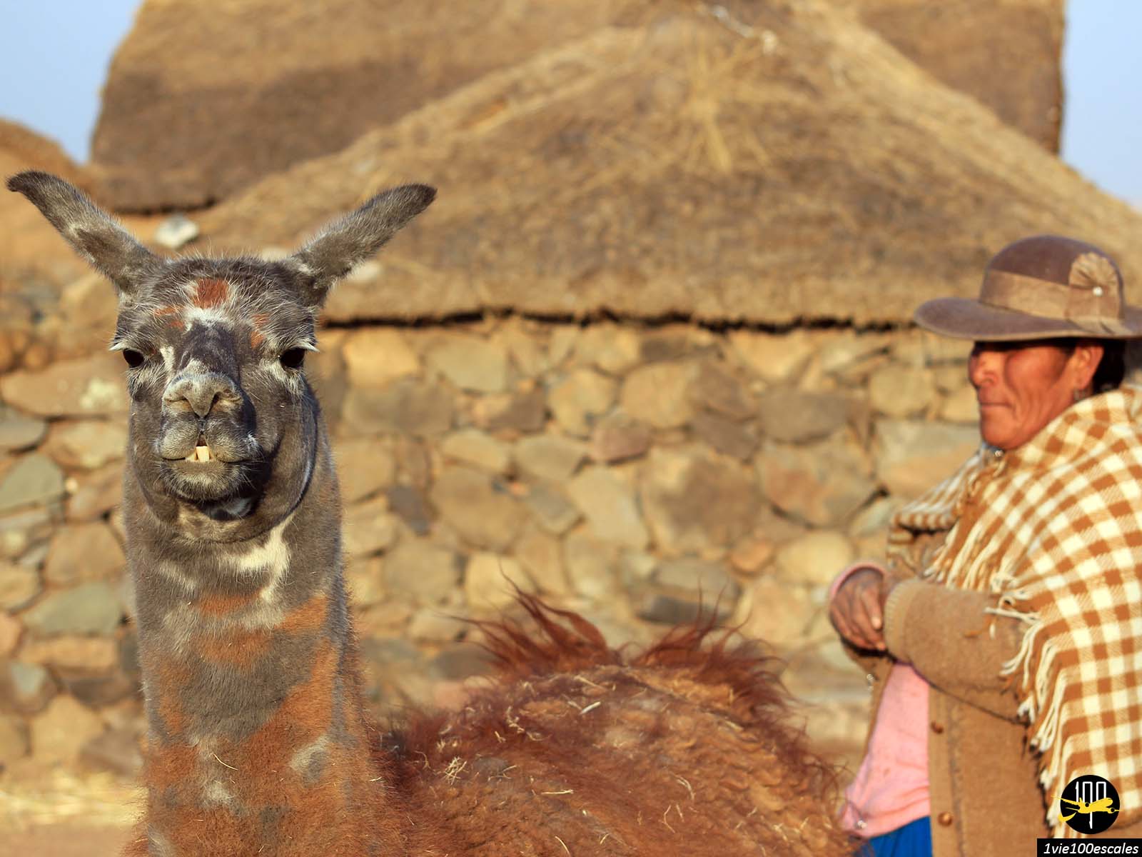 Découverte d'une ferme traditionnelle au bord du lac Umayo près de Puno au Pérou