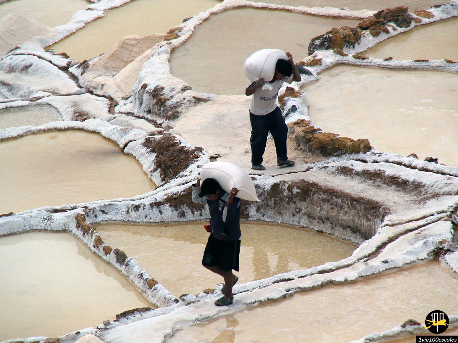 Les Salinas de Maras, dans la Vallée Sacrée des Incas, c'est 3600 bassins salins que se partagent plus de 700 familles