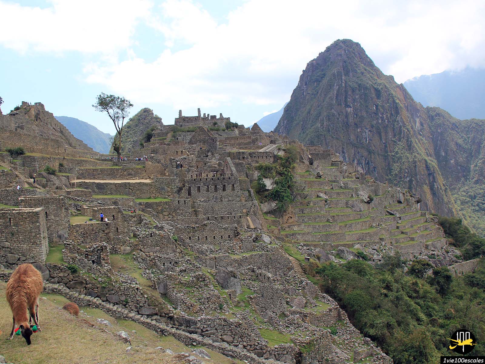 Ancienne cité inca perchée sur un piton rocheux, le Machu Picchu transporte ses visiteurs qu’ils soient locaux ou étrangers