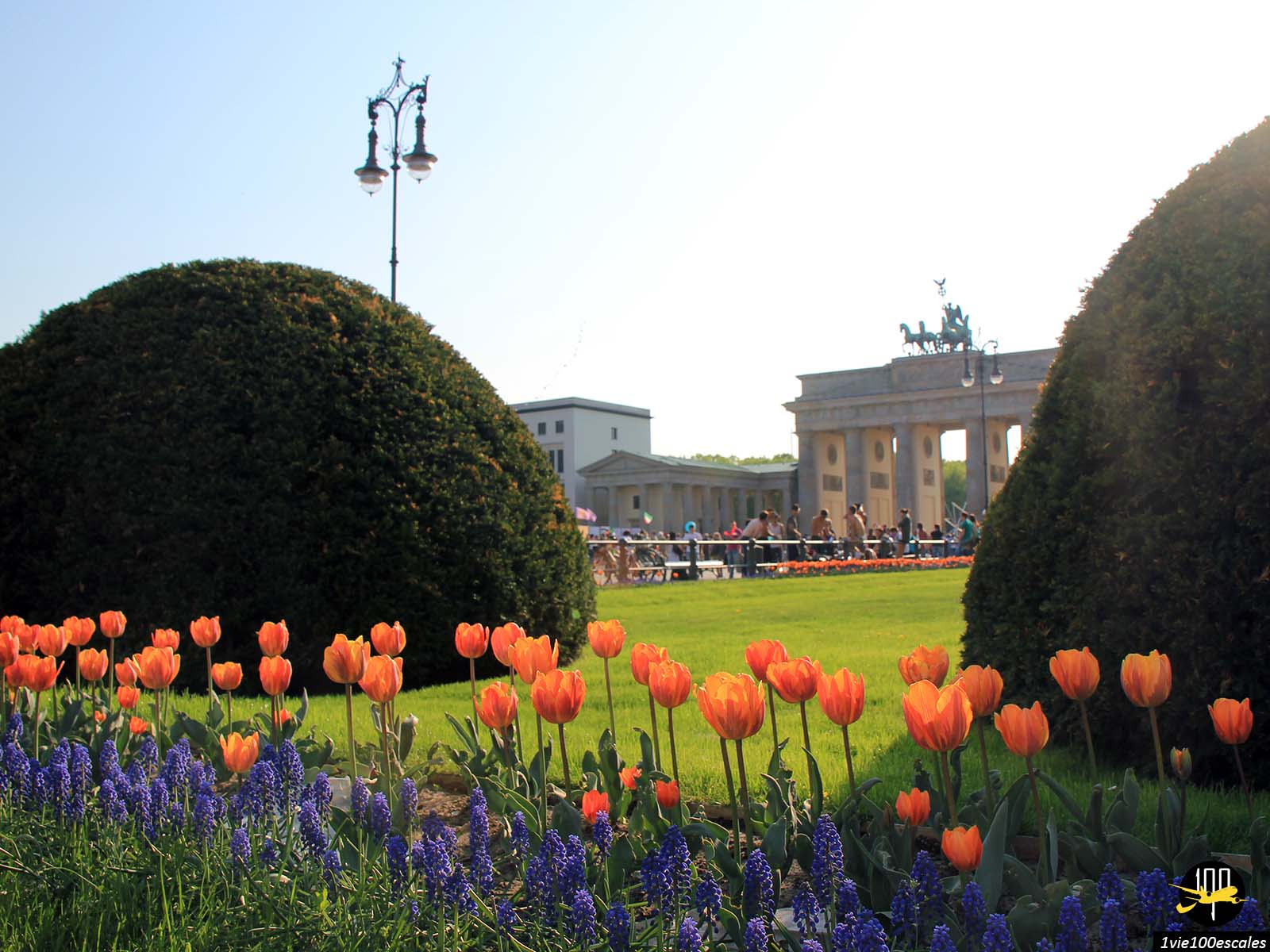 Porte de Brandebourg Pariser Platz avec fontaines et jardins de tulipes à Berlin en Allemagne