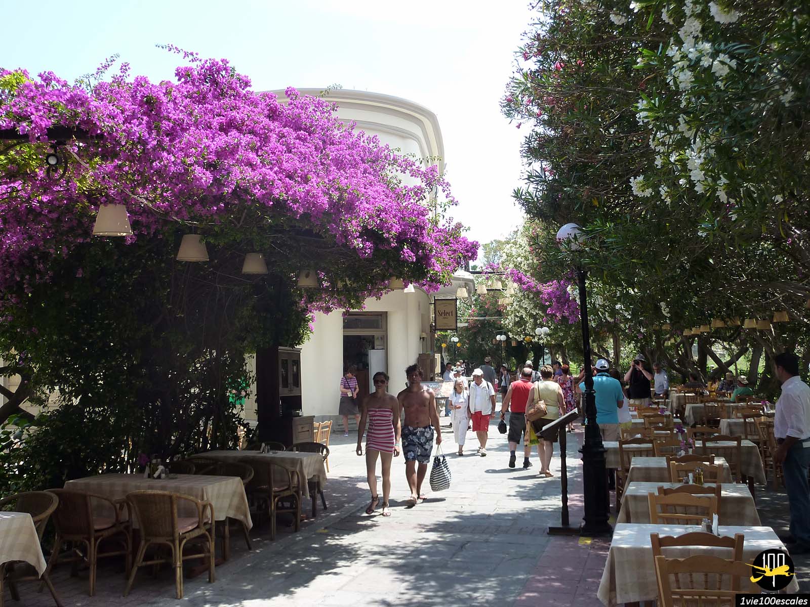La terrasse fleurie du Select Restaurant à Kos en Grèce