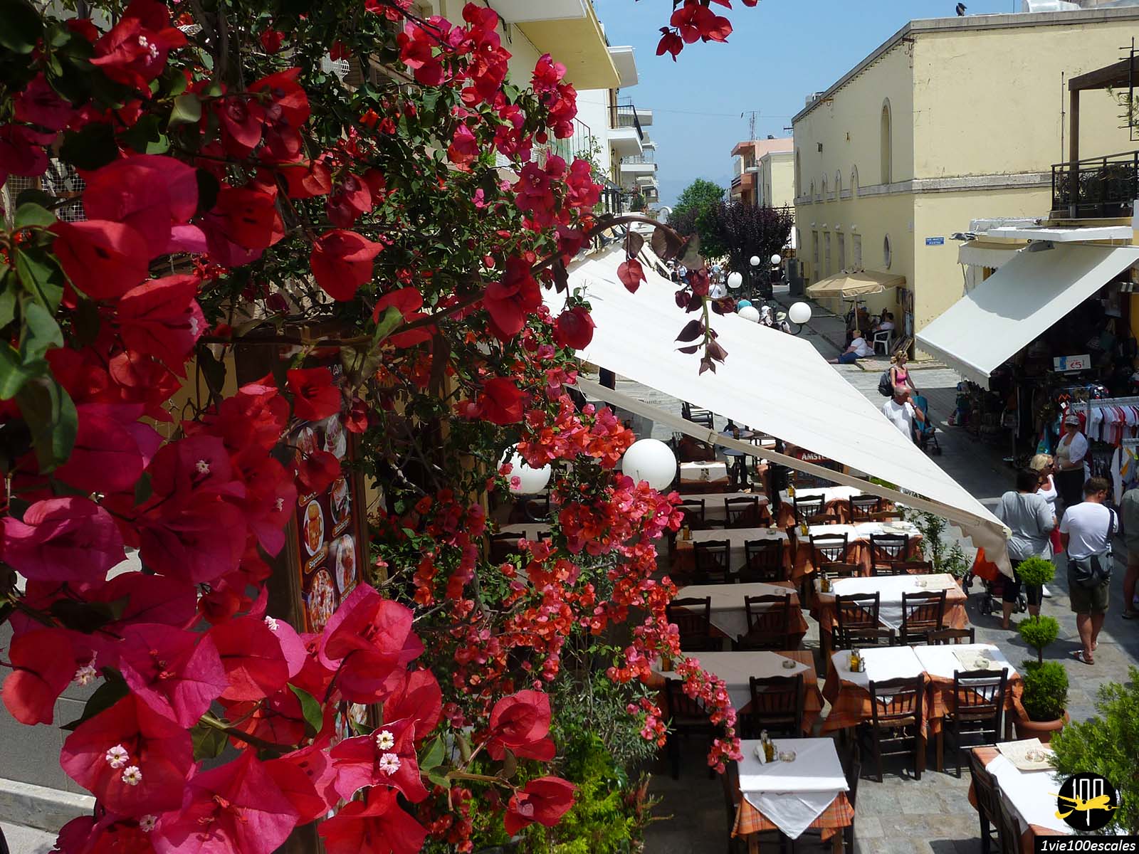 Les fleurs et restaurants de la Rue Alexandrou Ipsilantou de Kos en Grèce