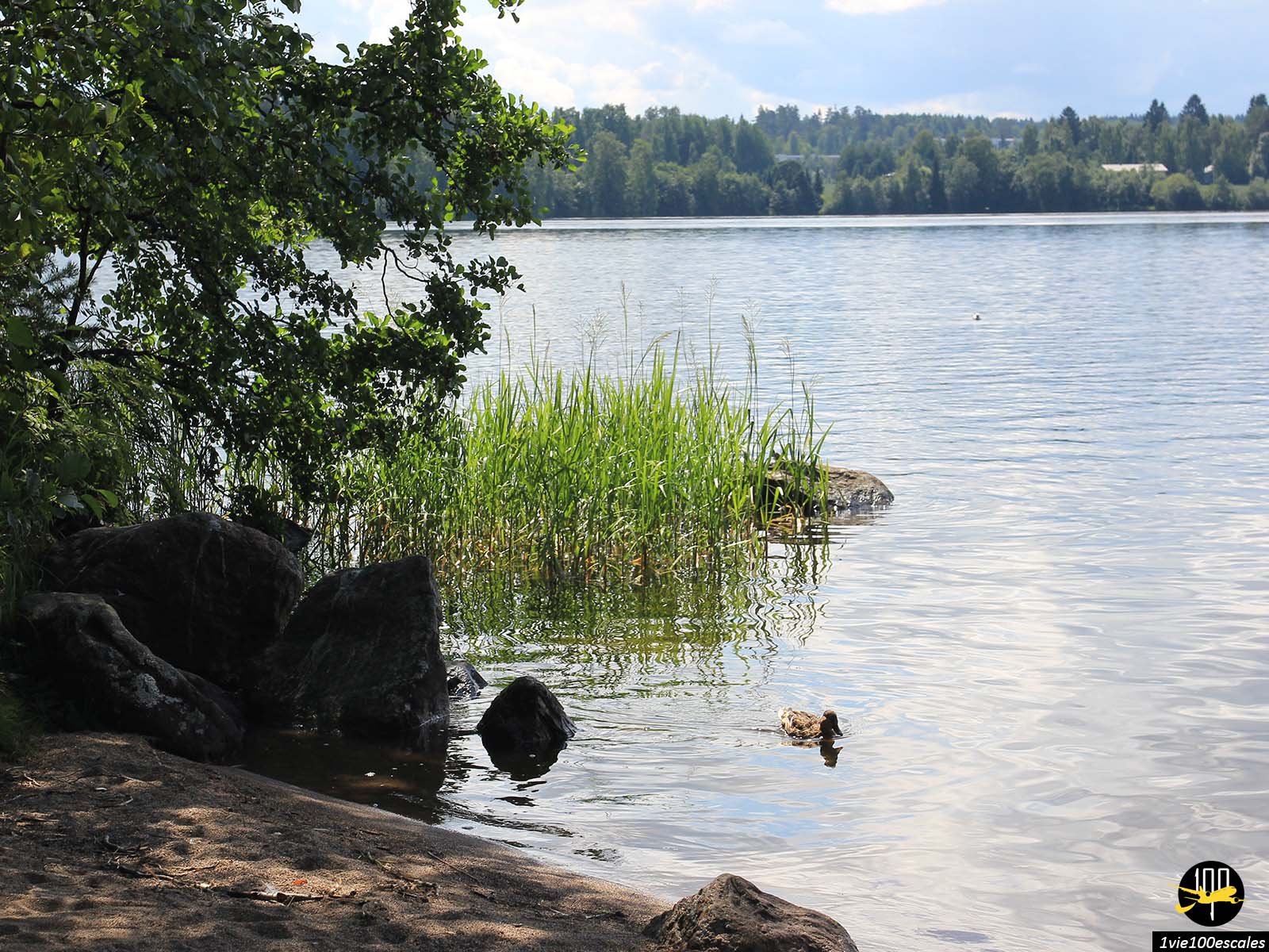 Balade nature sur l'île de Viikinsaari à 20 minutes de bateau de Tampere