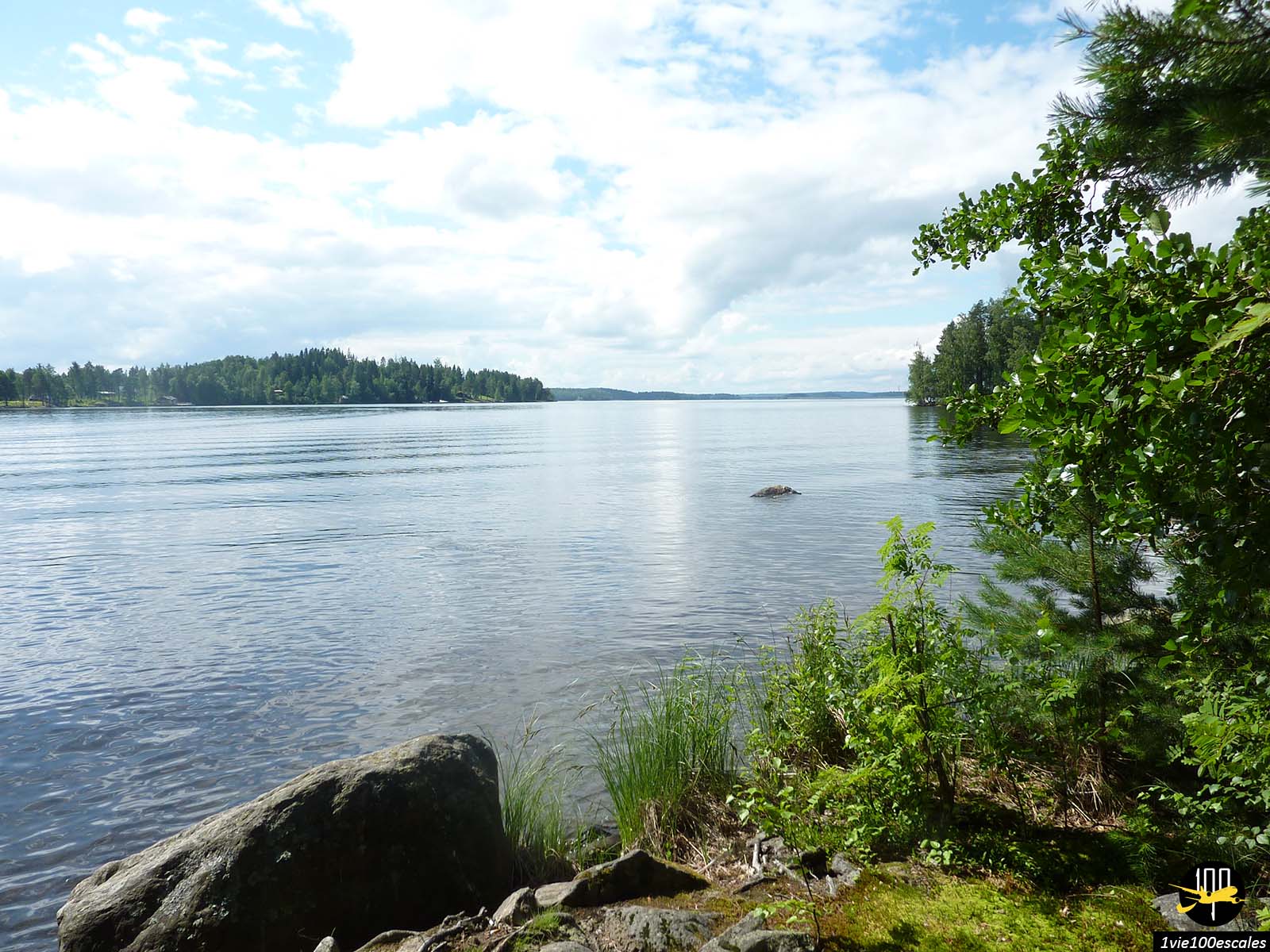 Réserve naturelle de l'Île Viikinsaari à Tampere en Finlande