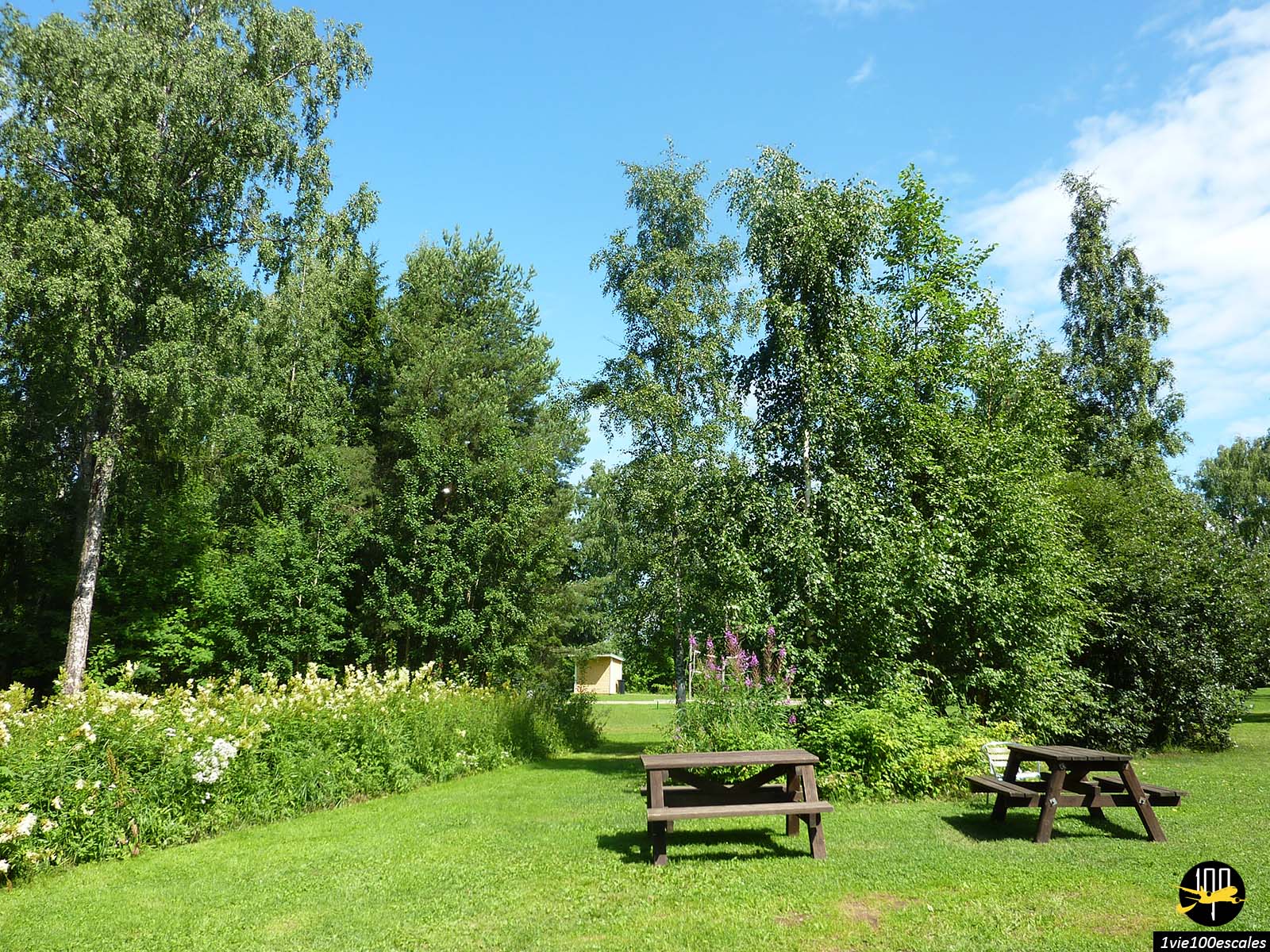 Pique-nique sur la belle île verdoyante de Viikinsaari à Tampere