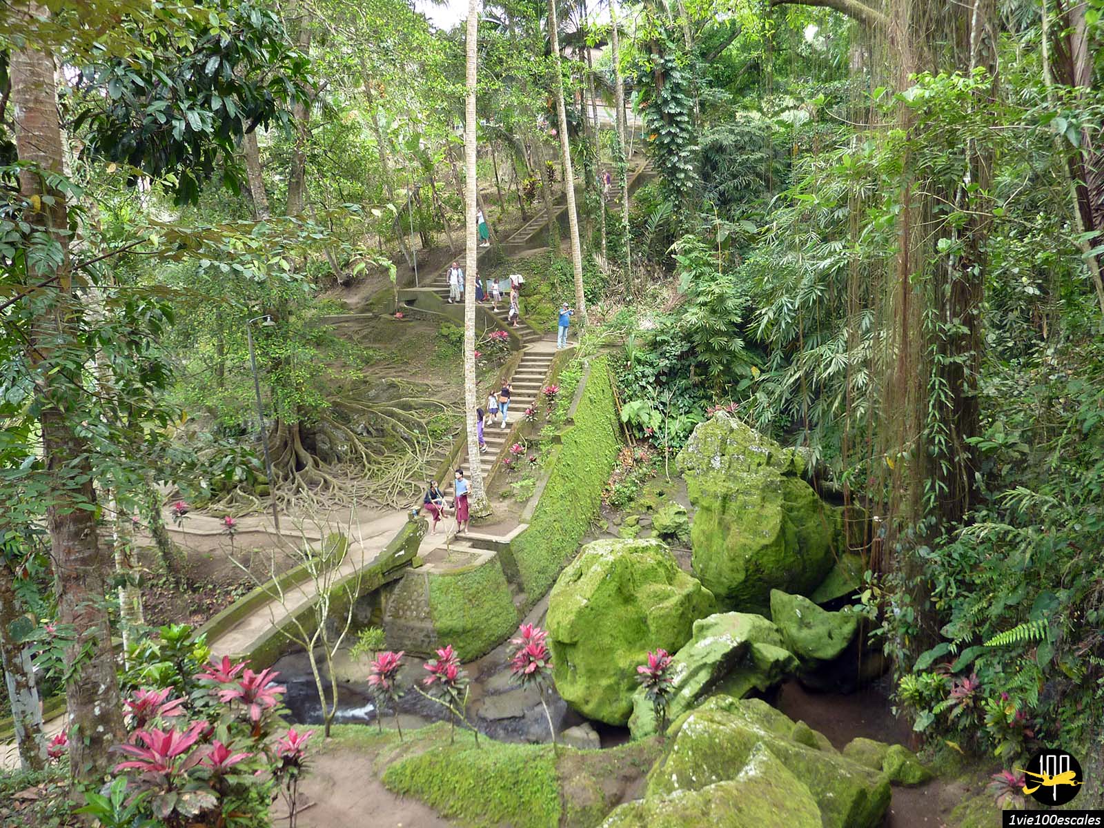 Goa Gajah Cave est un important site archéologique hindou et un temple au milieu des rizières vertes de Bali