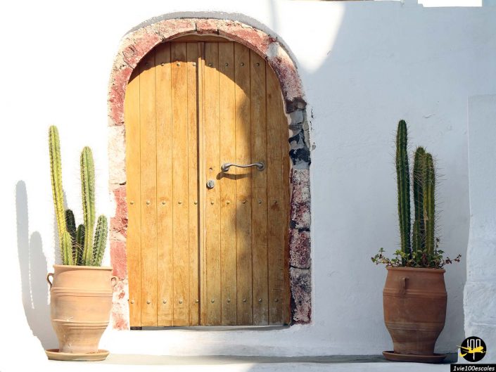 Une porte cintrée en bois encastrée dans un mur blanchi à la chaux, encadrée de deux grands cactus en pot de chaque côté, à Santorin en Grèce.