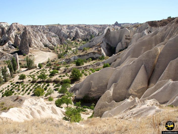 Un paysage rocheux avec des formations érodées aux arêtes vives, une végétation dispersée et des sentiers visibles sous un ciel bleu clair en Cappadoce en Turquie.