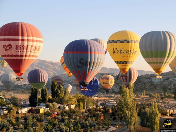 Plusieurs montgolfières colorées flottent dans le ciel au-dessus d'un paysage d'arbres et de collines au lever du soleil, créant une vue imprenable sur la Cappadoce en Turquie.