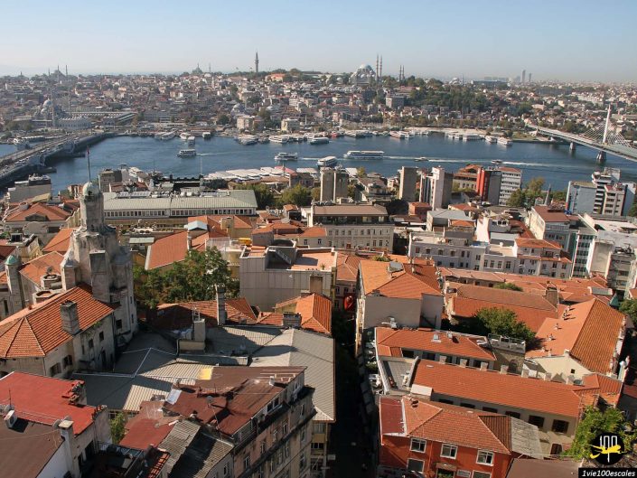 Vue aérienne d'un paysage urbain avec une rivière qui traverse le centre, de nombreux bâtiments aux toits rouges, et plusieurs ponts et dômes visibles en arrière-plan à Istanbul en Turquie.