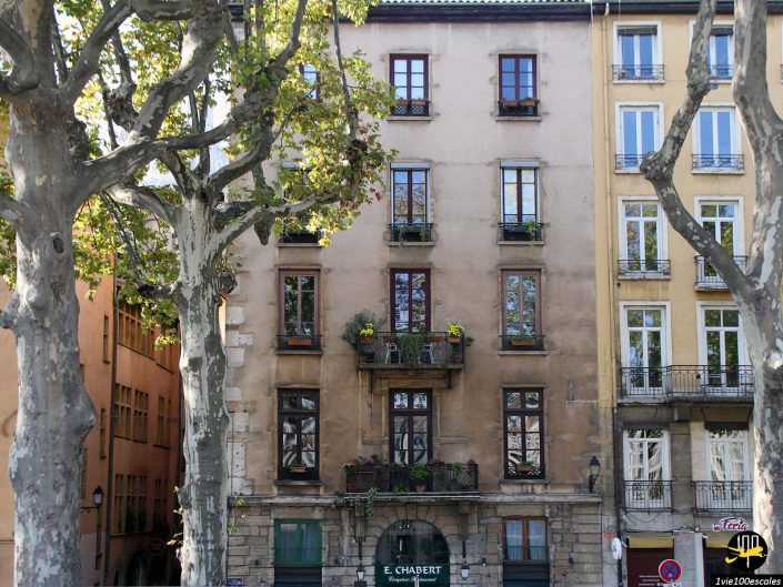 Un immeuble résidentiel de plusieurs étages à Lyon en France avec une façade beige, des volets en bois et des balcons ornés de plantes en pot. Des arbres bordent la rue devant le bâtiment.