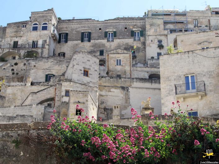 Un groupe de bâtiments en pierre vieillie aux caractéristiques architecturales diverses se dresse sur un ciel clair, tandis que des fleurs roses fleurissent au premier plan, à Matera en Italie.