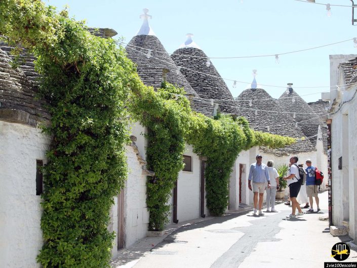 Un groupe de personnes marchent le long d'une rue étroite avec des maisons en pierre blanche et des toits coniques couverts de vignes vertes sous un ciel bleu clair à Alberobello en Italie.