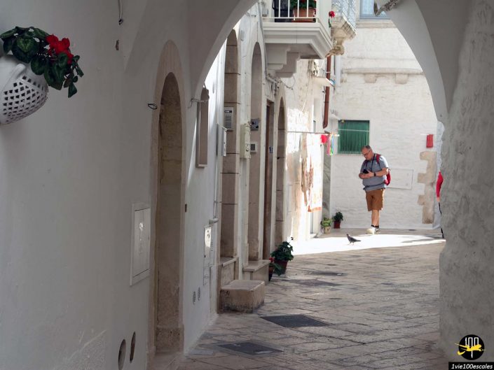Une personne marche dans une ruelle étroite aux murs blancs avec des plantes en pot sur les murs à Locorotondo en Italie. Un pigeon se trouve à proximité sur le chemin pavé et la lumière du soleil illumine la scène.