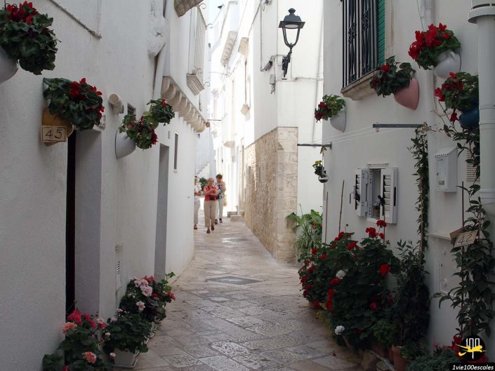 Ruelle étroite avec des bâtiments blancs ornés de fleurs rouges et blanches en pots à Locorotondo en Italie. Deux personnes marchent le long du chemin. Des lampadaires sont montés sur les murs. Le sol est pavé de dalles en pierre.
