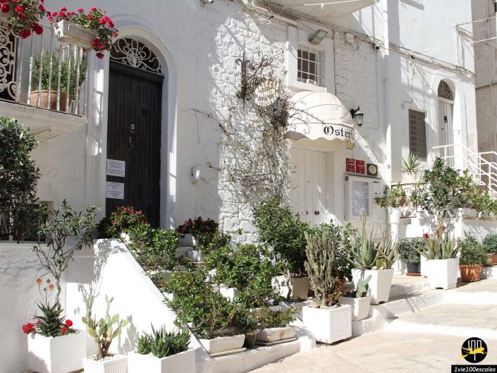 Un bâtiment en pierre blanche avec des plantes en pots blancs sur les marches et autour de l'entrée. Un panneau au-dessus de la porte indique « Osteria à Ostuni en Italie ». Il y a des fleurs rouges et des plantes vertes le long des rampes d'escalier.