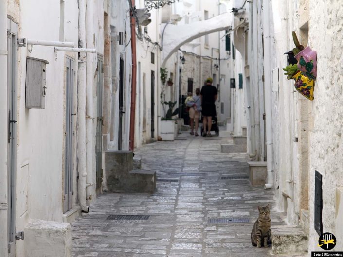 Une rue pavée étroite avec des bâtiments blancs de chaque côté, un chat assis au premier plan et deux personnes marchant au loin à Ostuni en Italie.