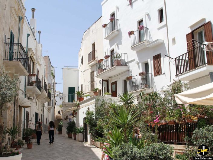 Ruelle étroite et ensoleillée de Polignano a Mare en Italie avec des bâtiments blancs ornés de balcons, de plantes en pot et de fleurs. Quelques personnes marchent le long du chemin pavé. Ambiance apaisante avec un ciel bleu clair.