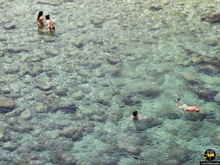 Trois personnes se tiennent dans une eau claire et peu profonde à Polignano a Mare en Italie, tandis qu'une quatrième personne nage à proximité. Les fonds marins et les rochers en dessous sont visibles.