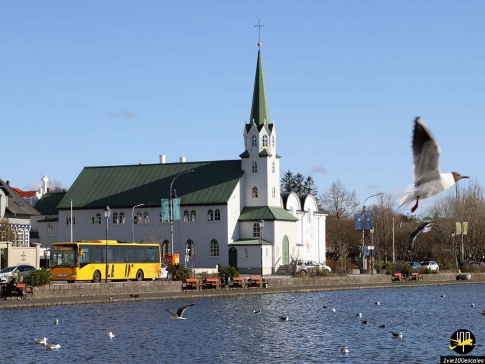 Une église blanche avec un toit et un clocher verts se trouve au bord d'un front de mer à Reykjavík, en Islande, où un bus jaune, des bancs et des mouettes en vol rehaussent le charme du temps clair.