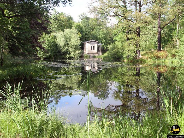 Une petite maison se reflète dans un étang calme entouré d'arbres denses et de verdure luxuriante, rappelant les paysages sereins de Dresde en Allemagne.