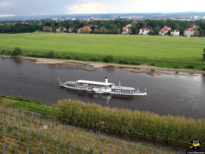 Un bateau à aubes blanc navigue le long d'une rivière calme à Dresde en Allemagne avec en toile de fond des champs verts, des arbres et des maisons d'habitation au loin.