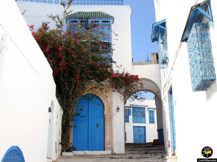 Sidi Bou Said : Le joyau bleu et blanc de Tunisie